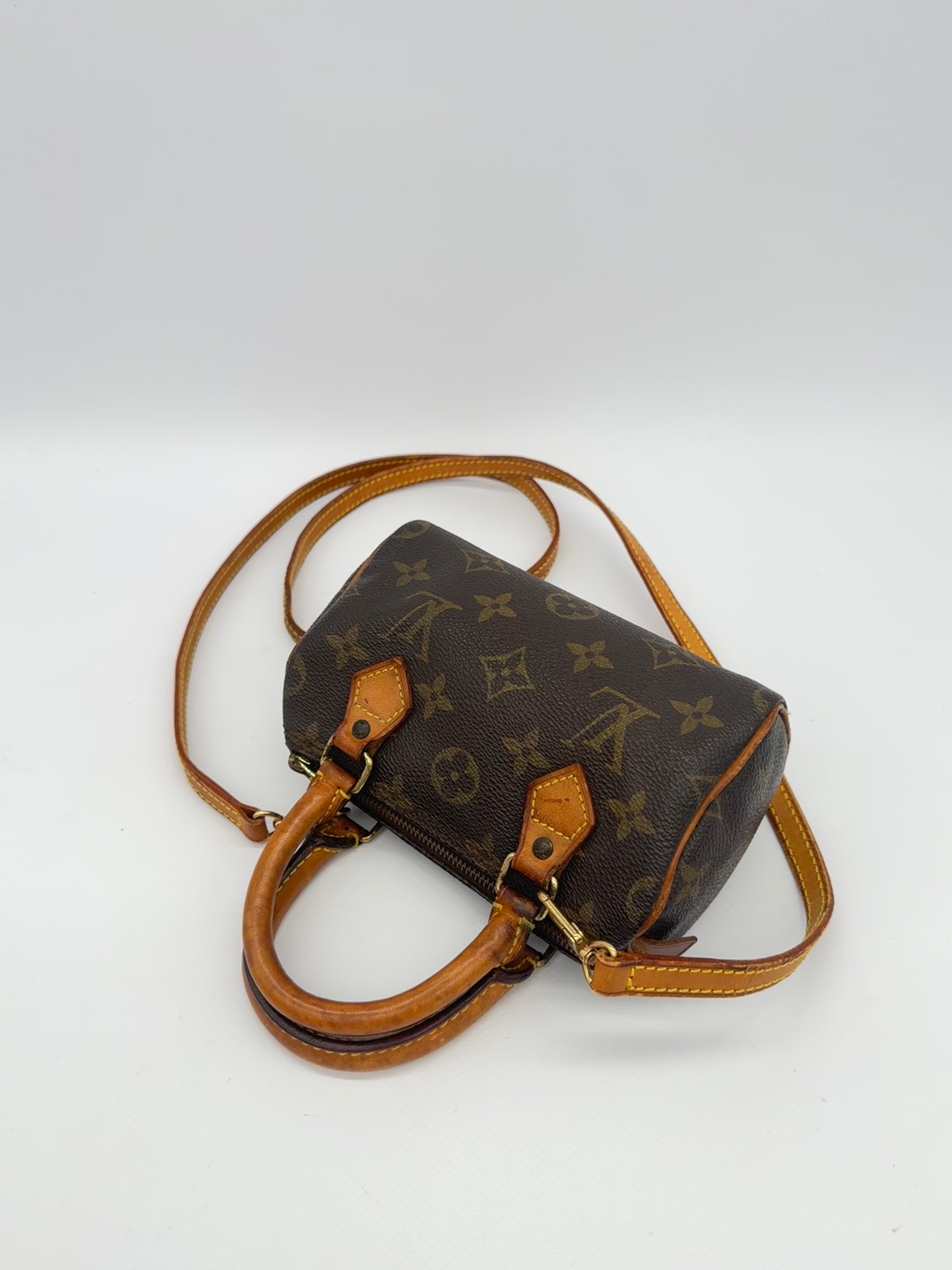 Louis Vuitton Nano Speedy