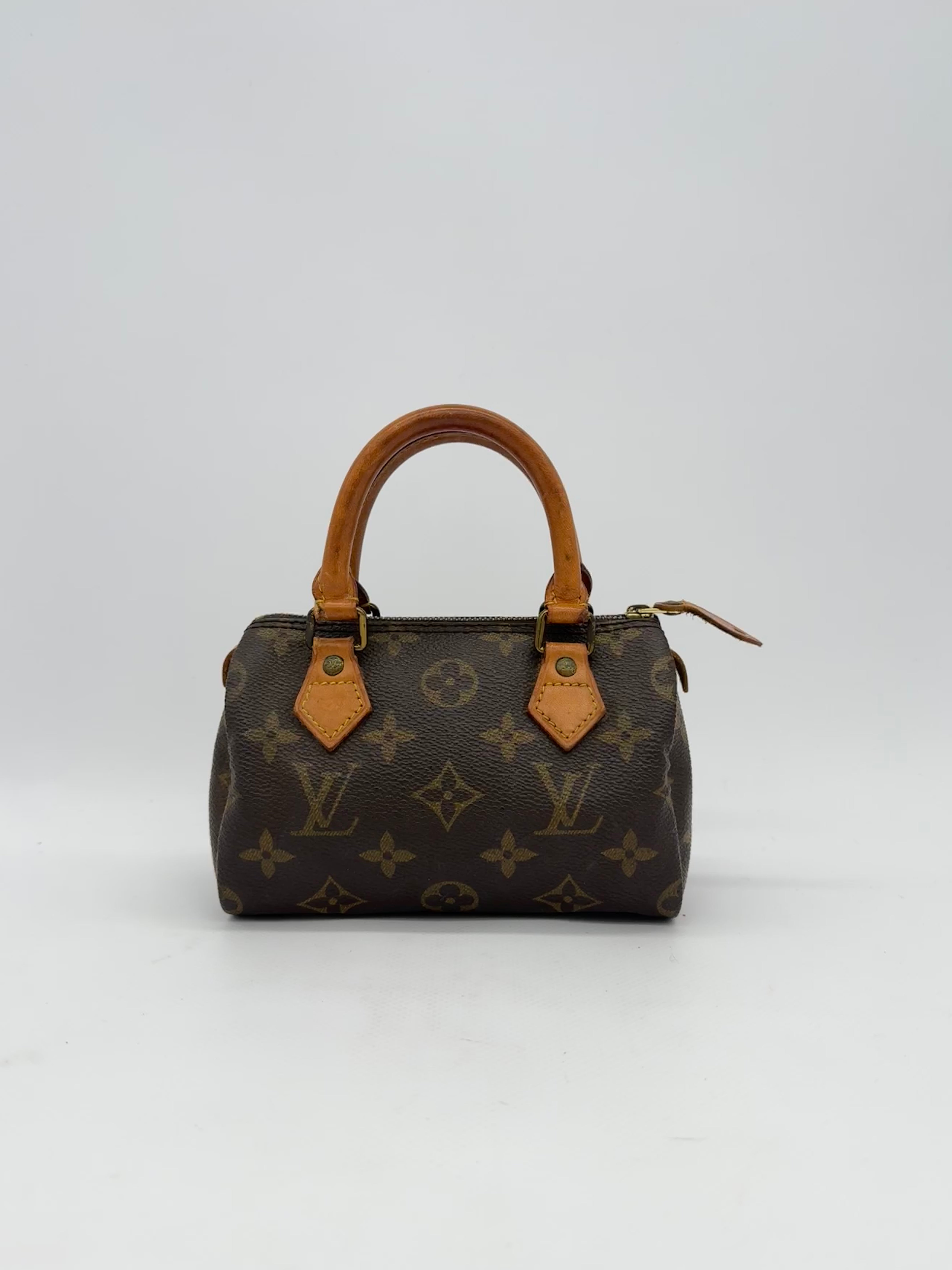 Louis Vuitton Nano Speedy