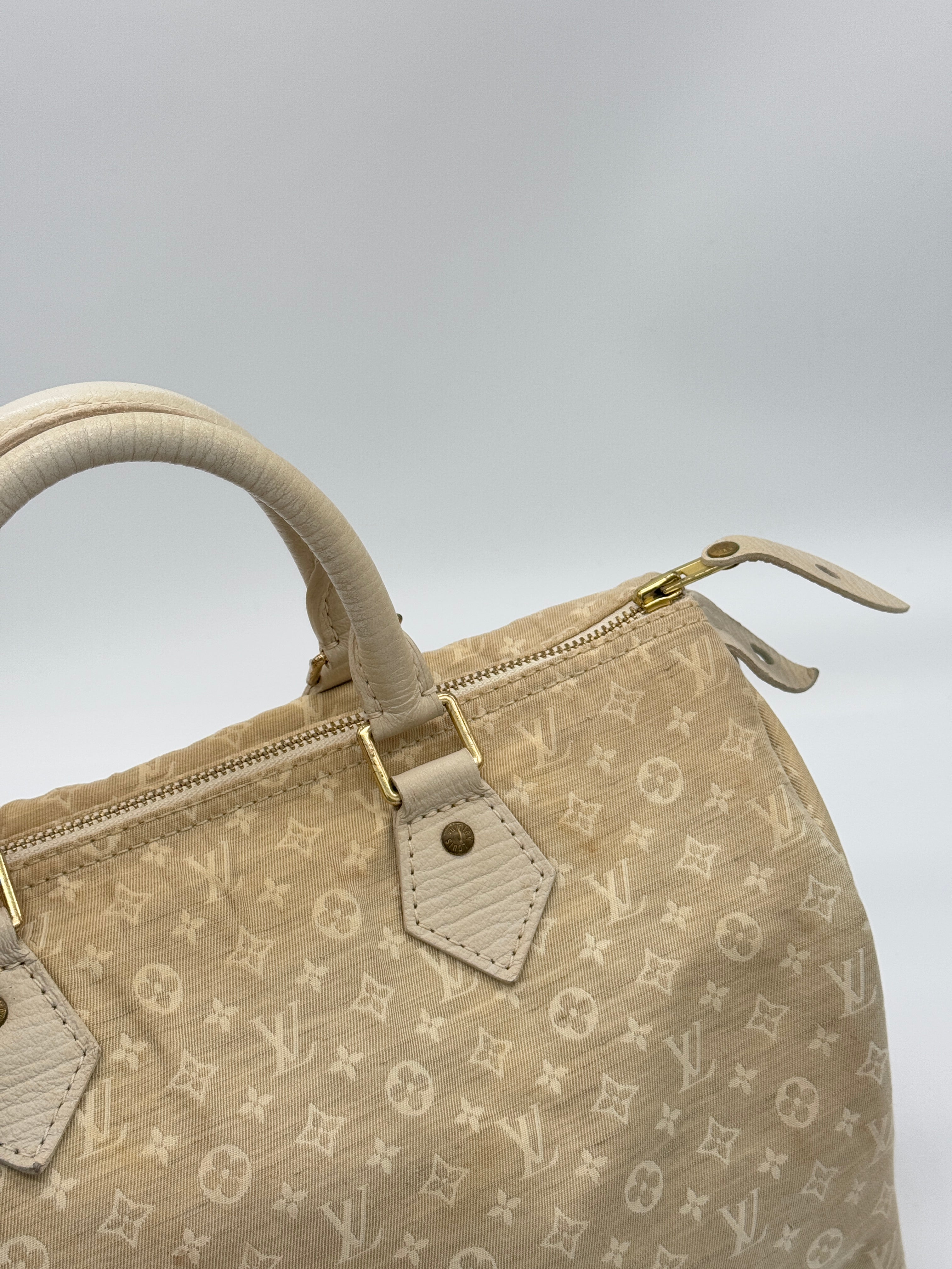 Louis Vuitton Speedy 30