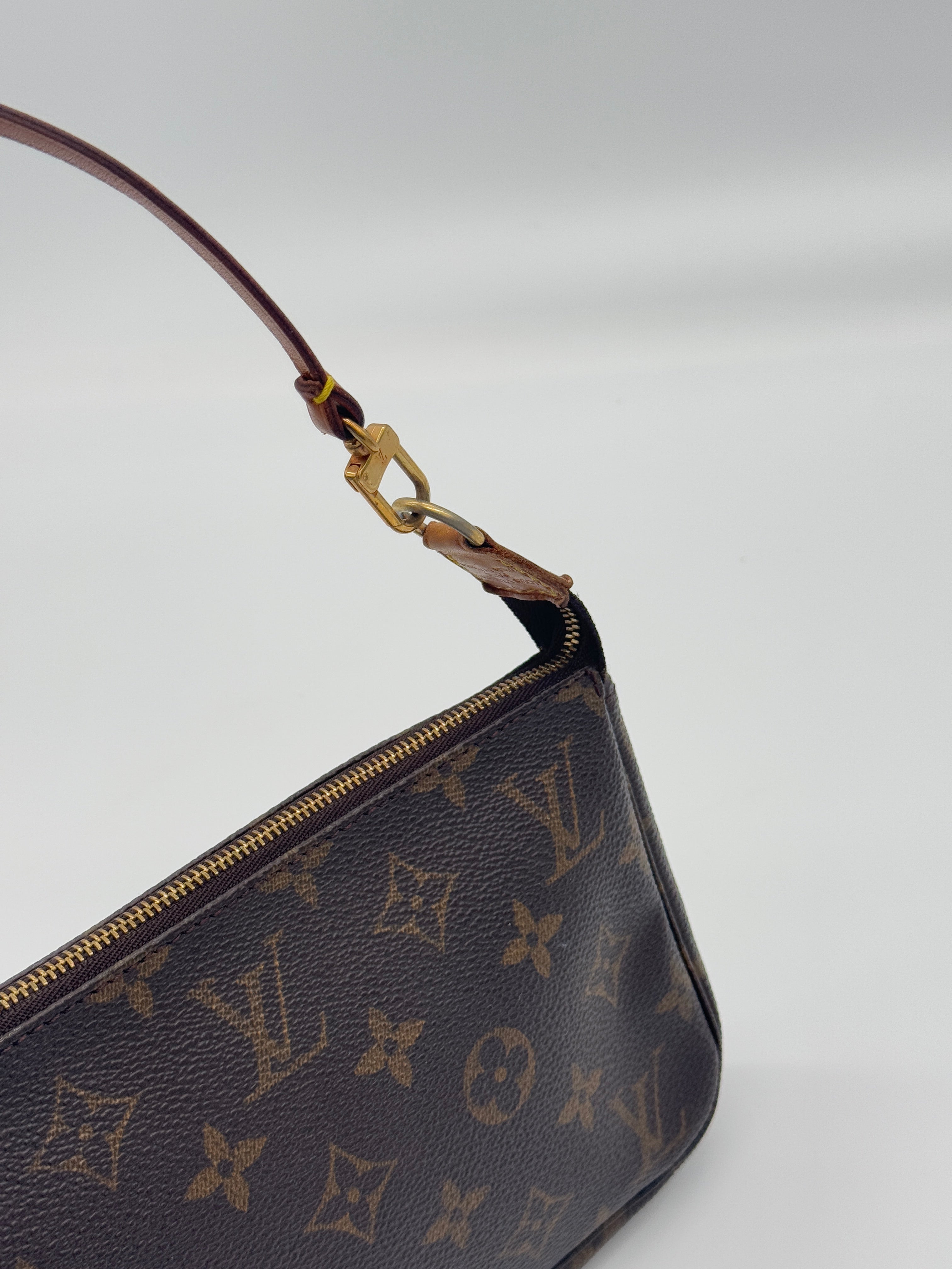 Louis Vuitton Pochette Accessoires