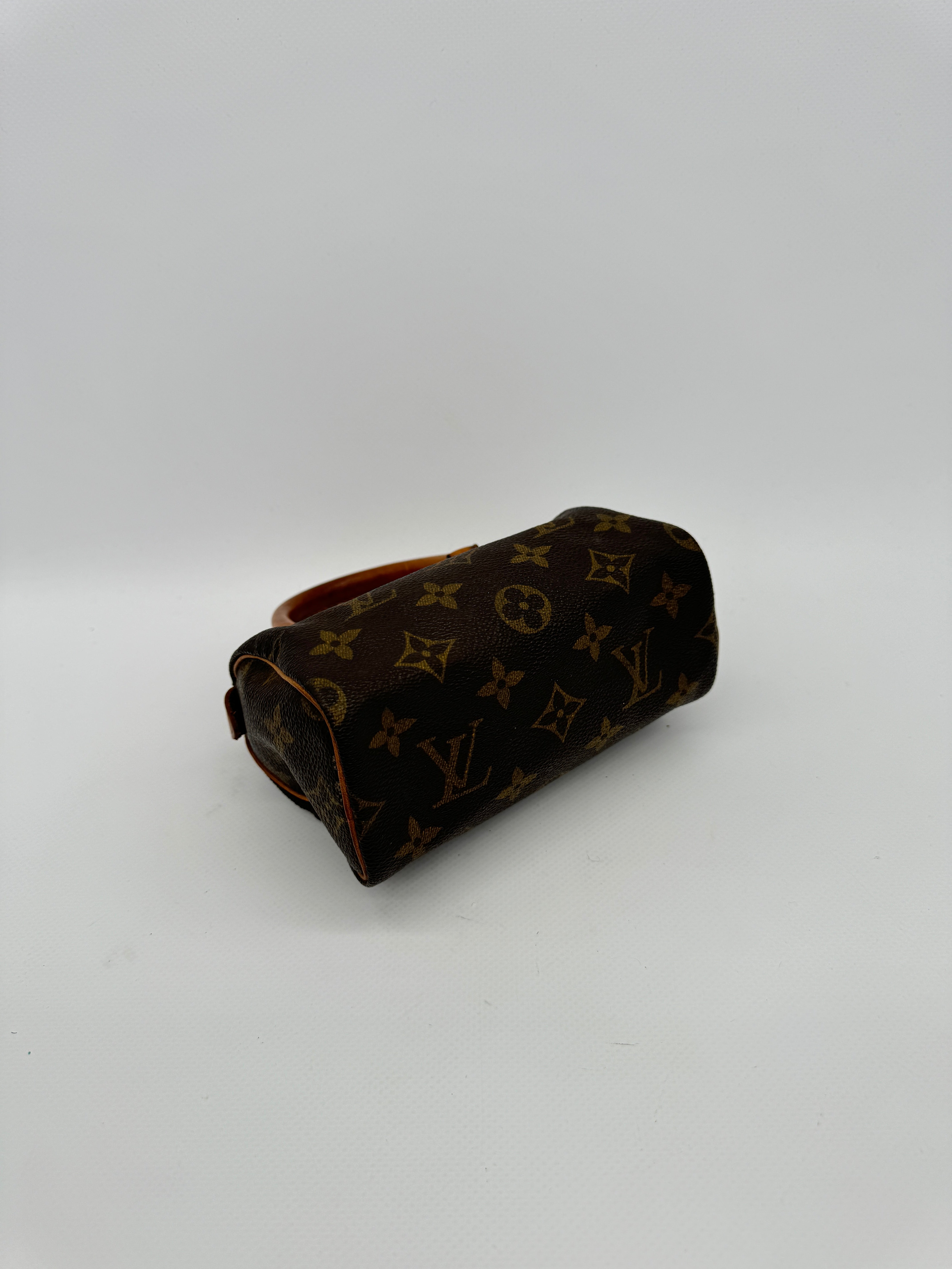 Louis Vuitton Nano Speedy