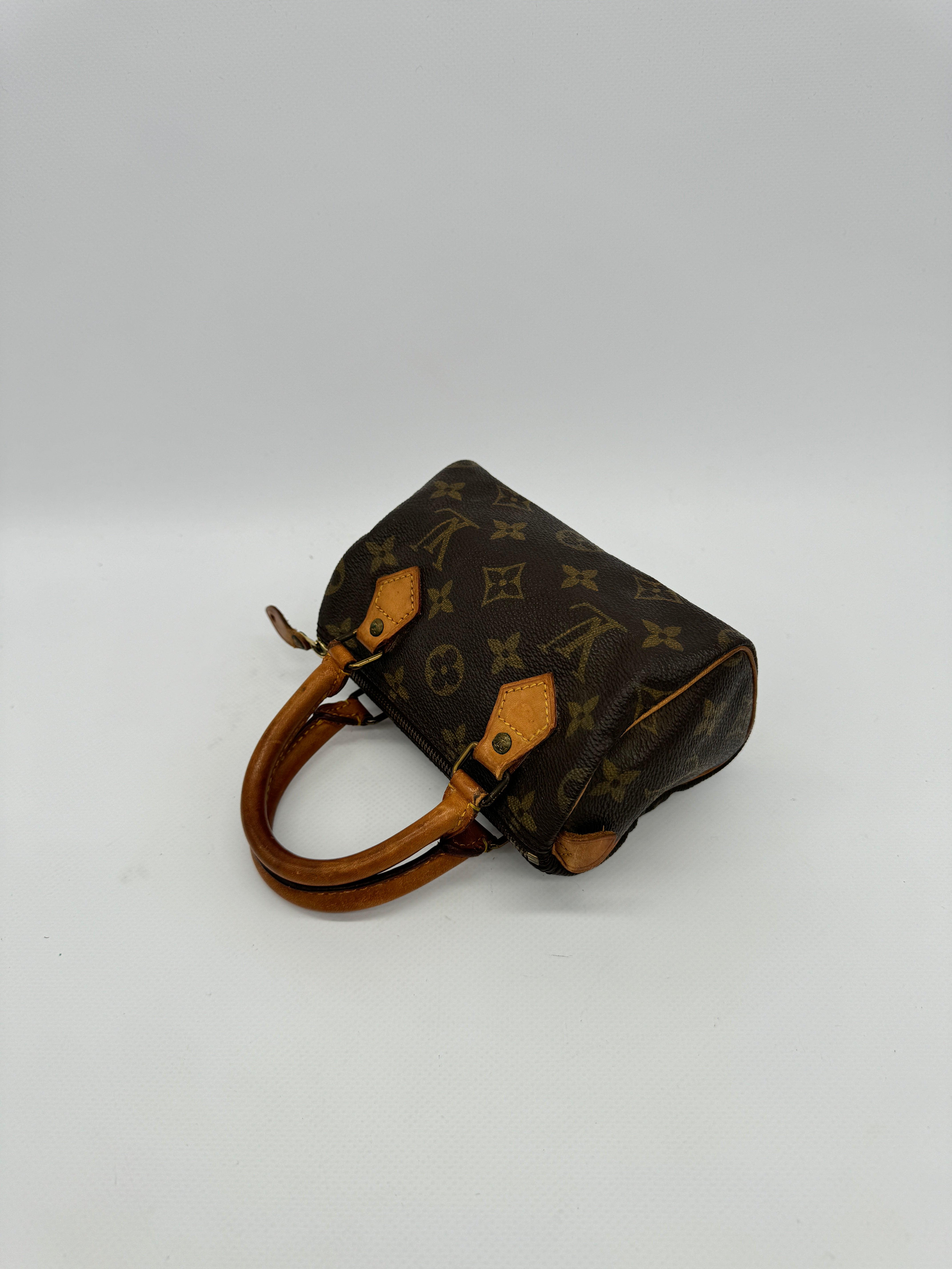 Louis Vuitton Nano Speedy