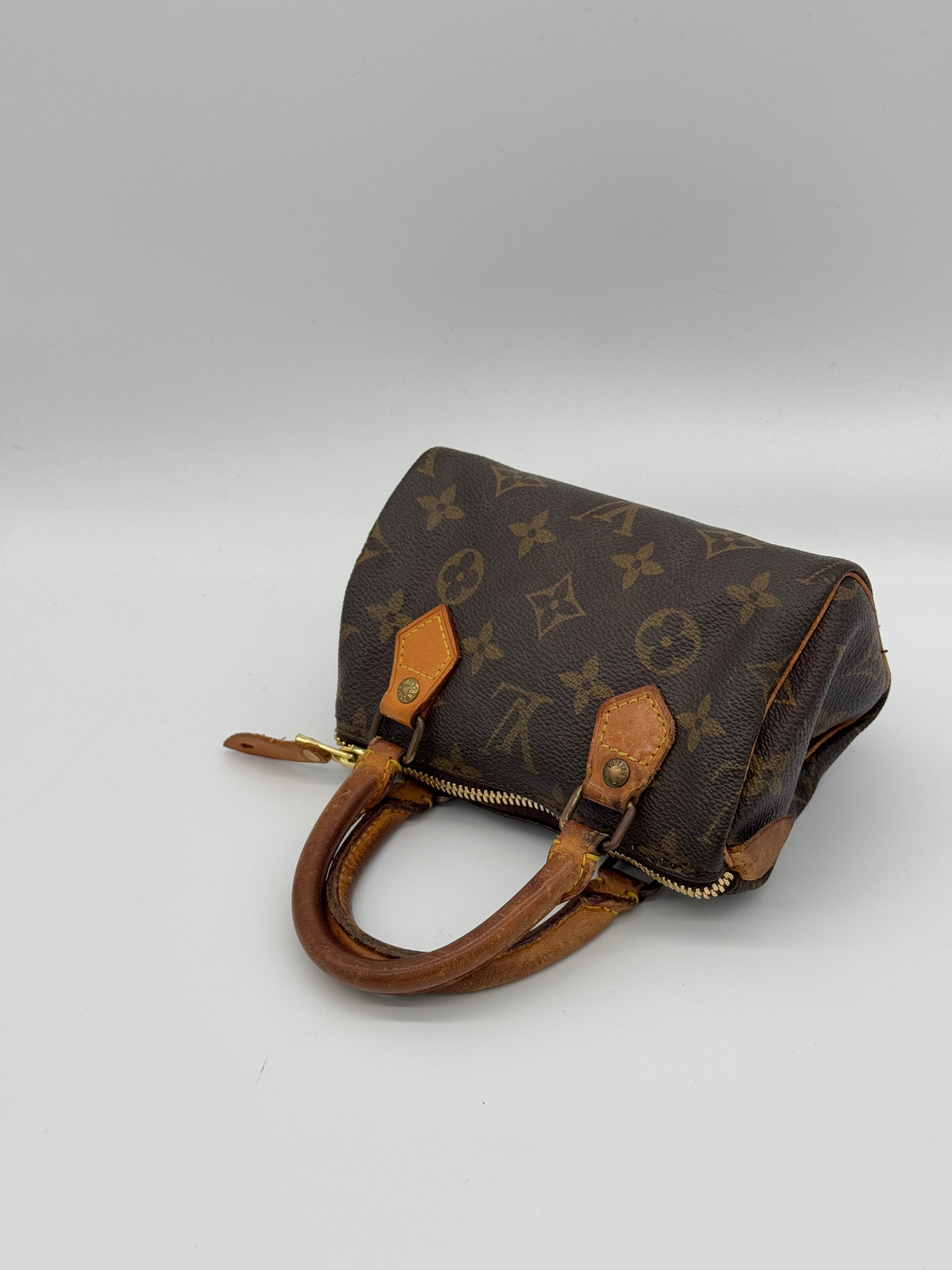 Louis Vuitton Nano Speedy