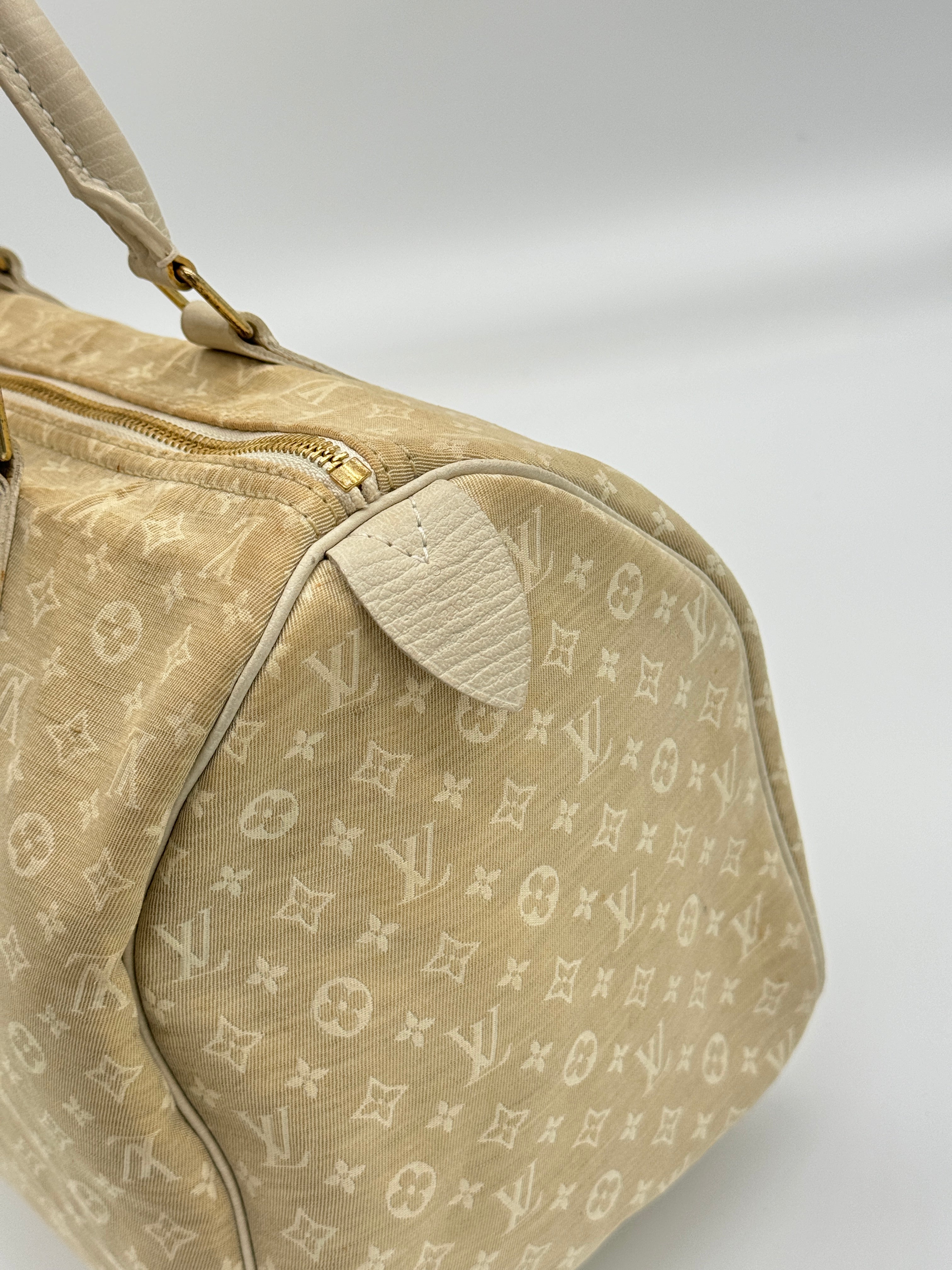 Louis Vuitton Speedy 30