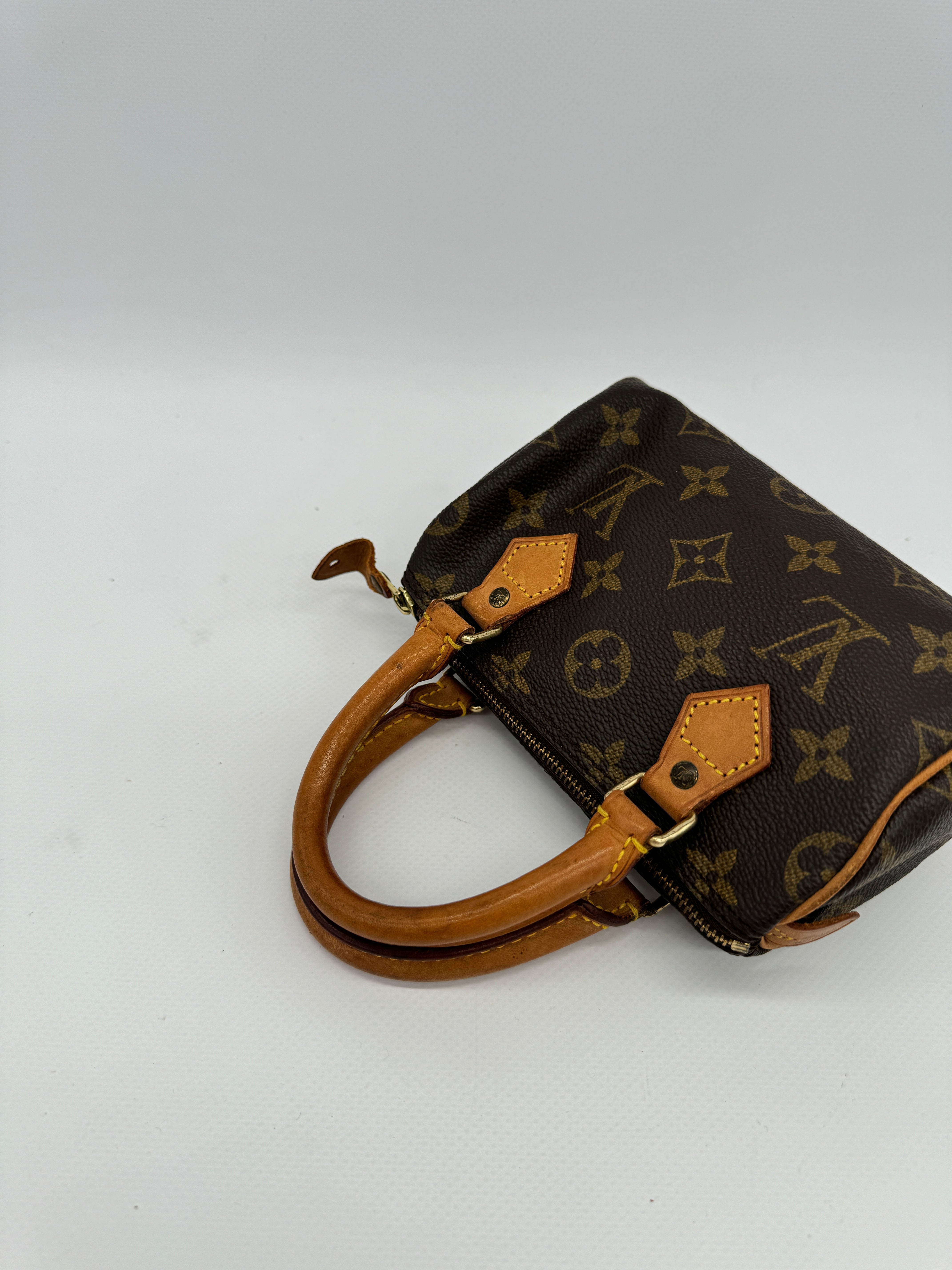 Louis Vuitton Nano Speedy