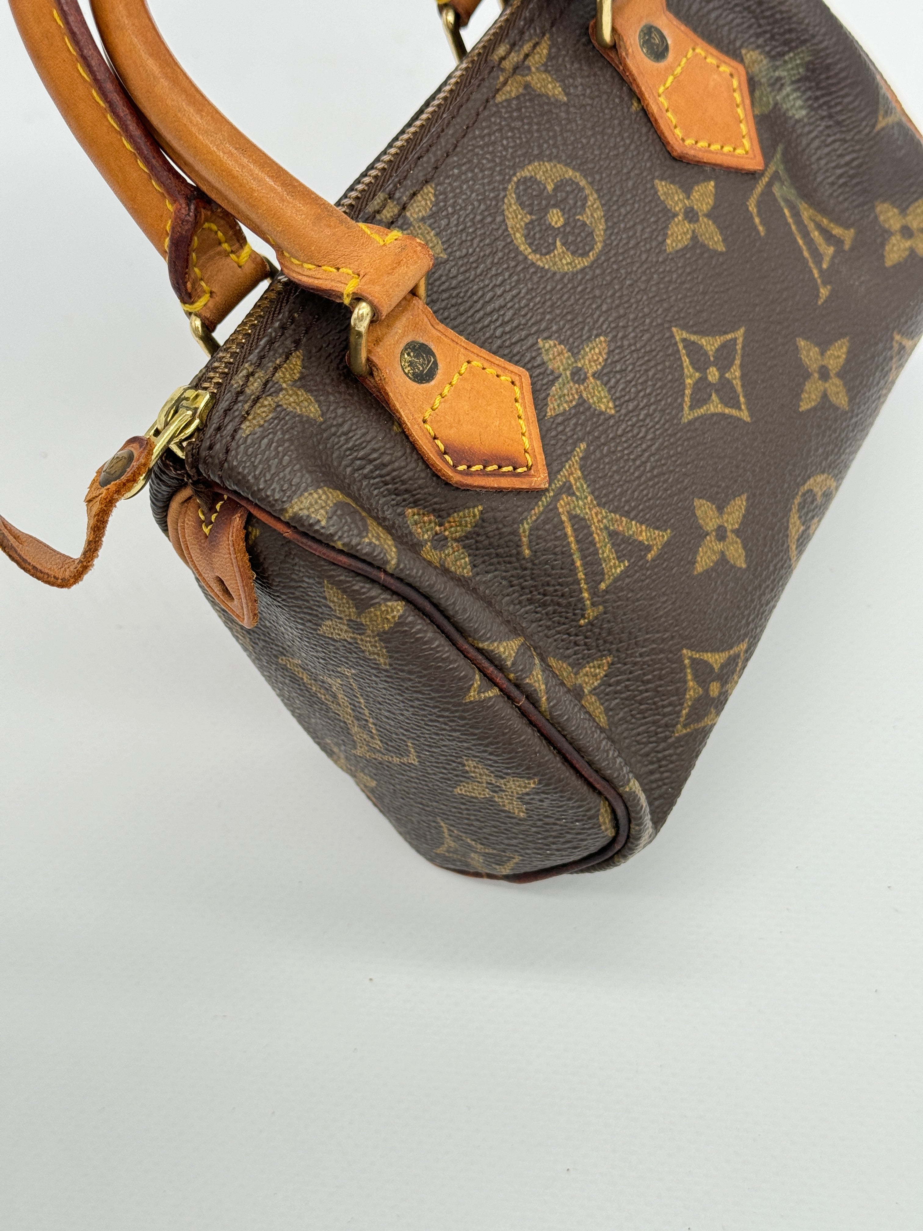 Louis Vuitton Nano Speedy