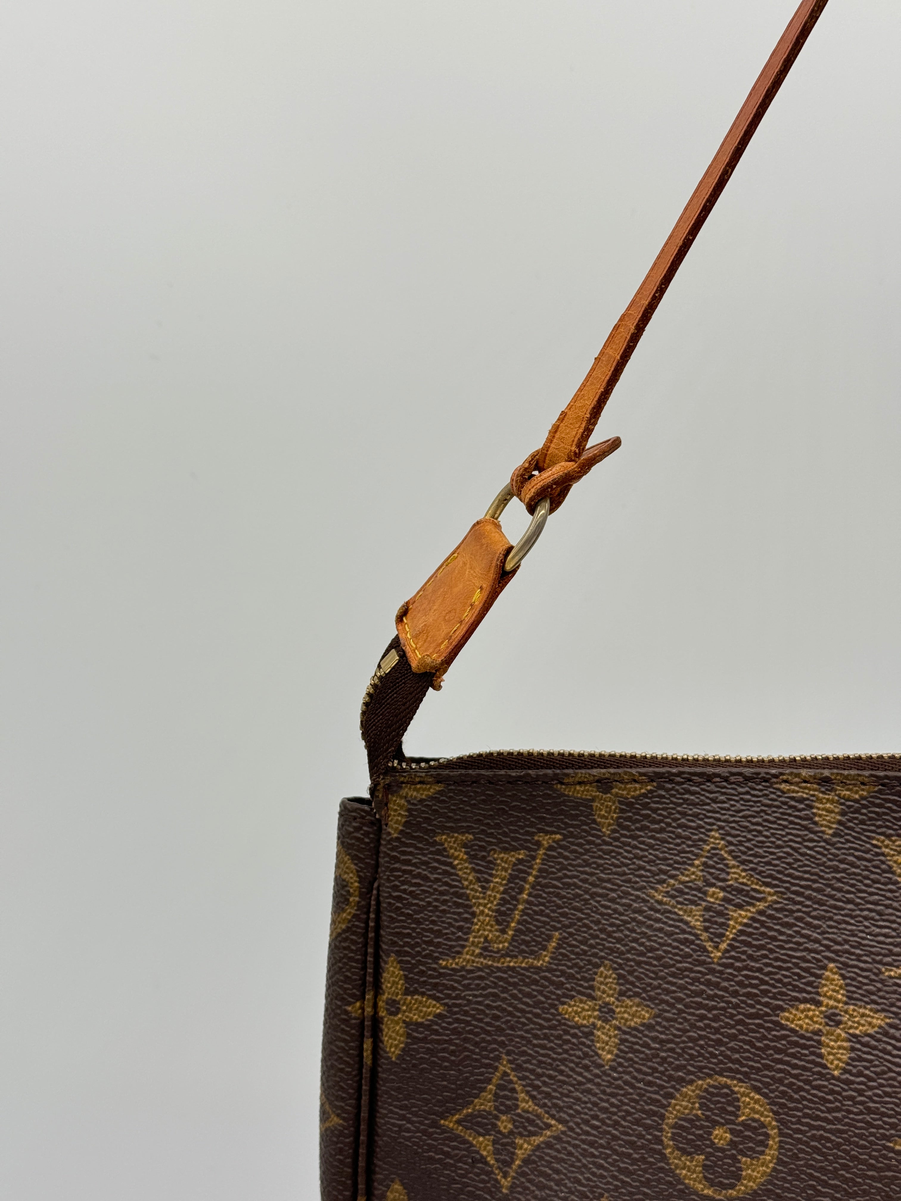 Louis Vuitton Pochette Accessoires