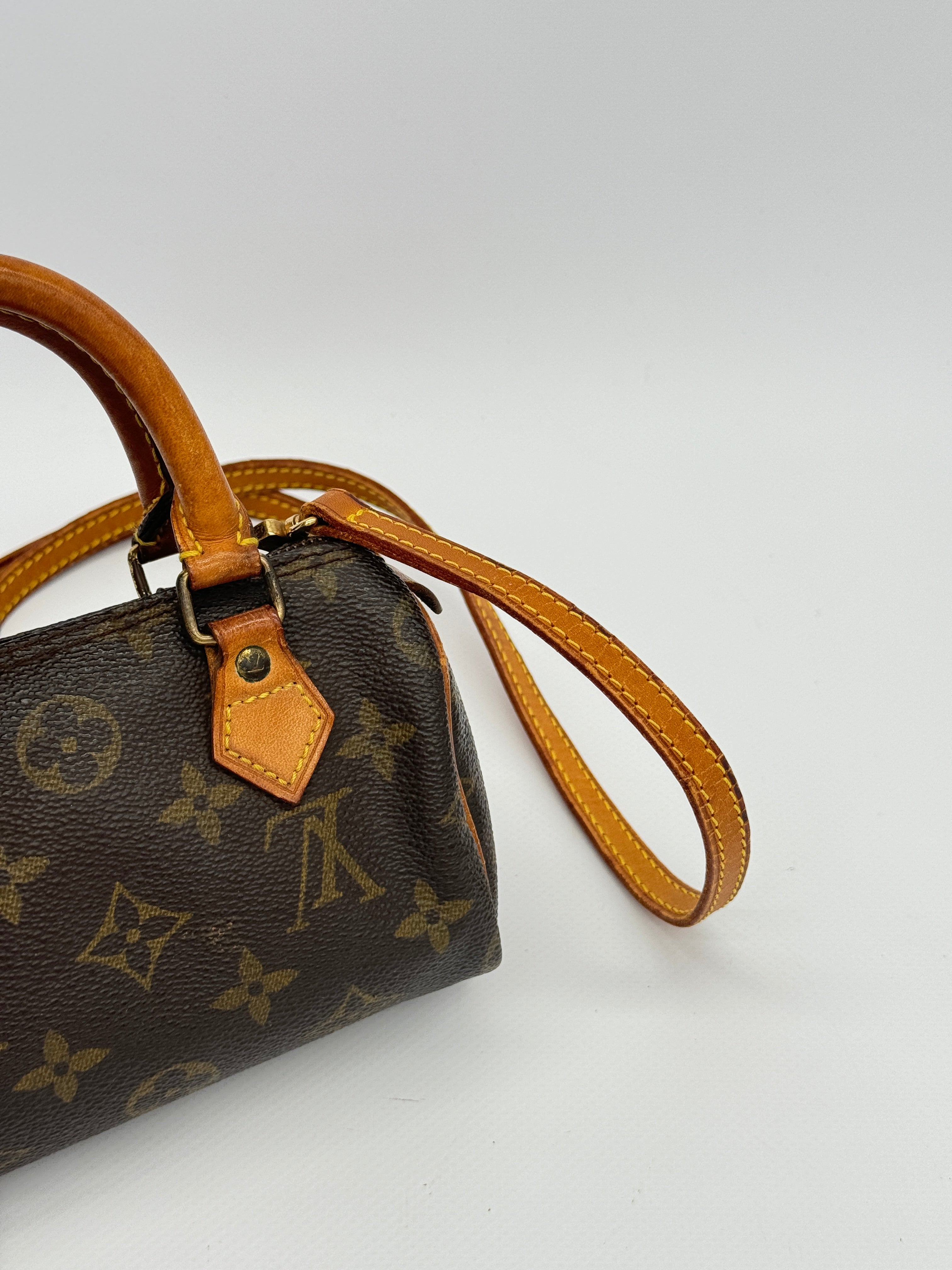 Louis Vuitton Nano Speedy