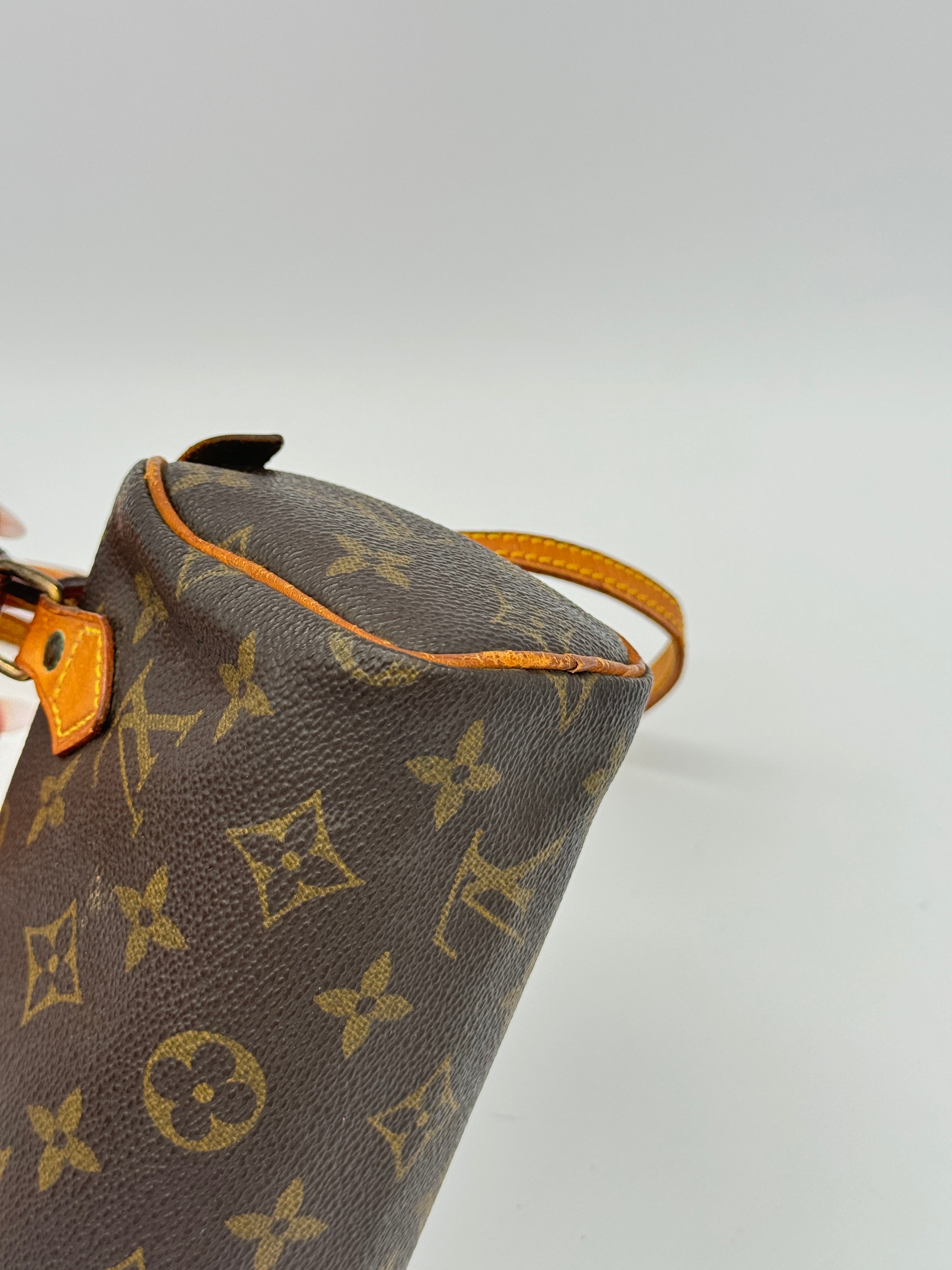 Louis Vuitton Nano Speedy