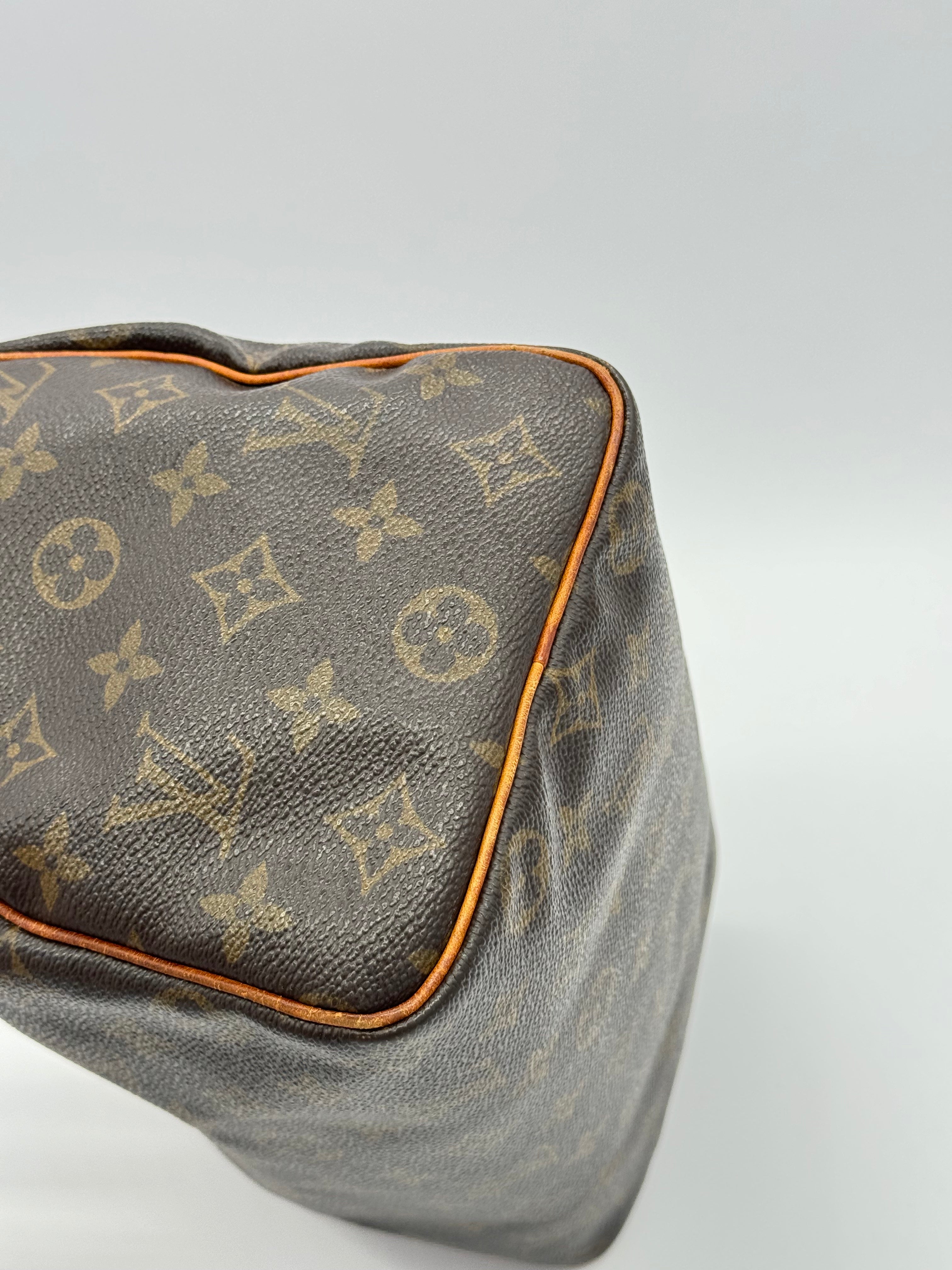 Louis Vuitton Speedy 25