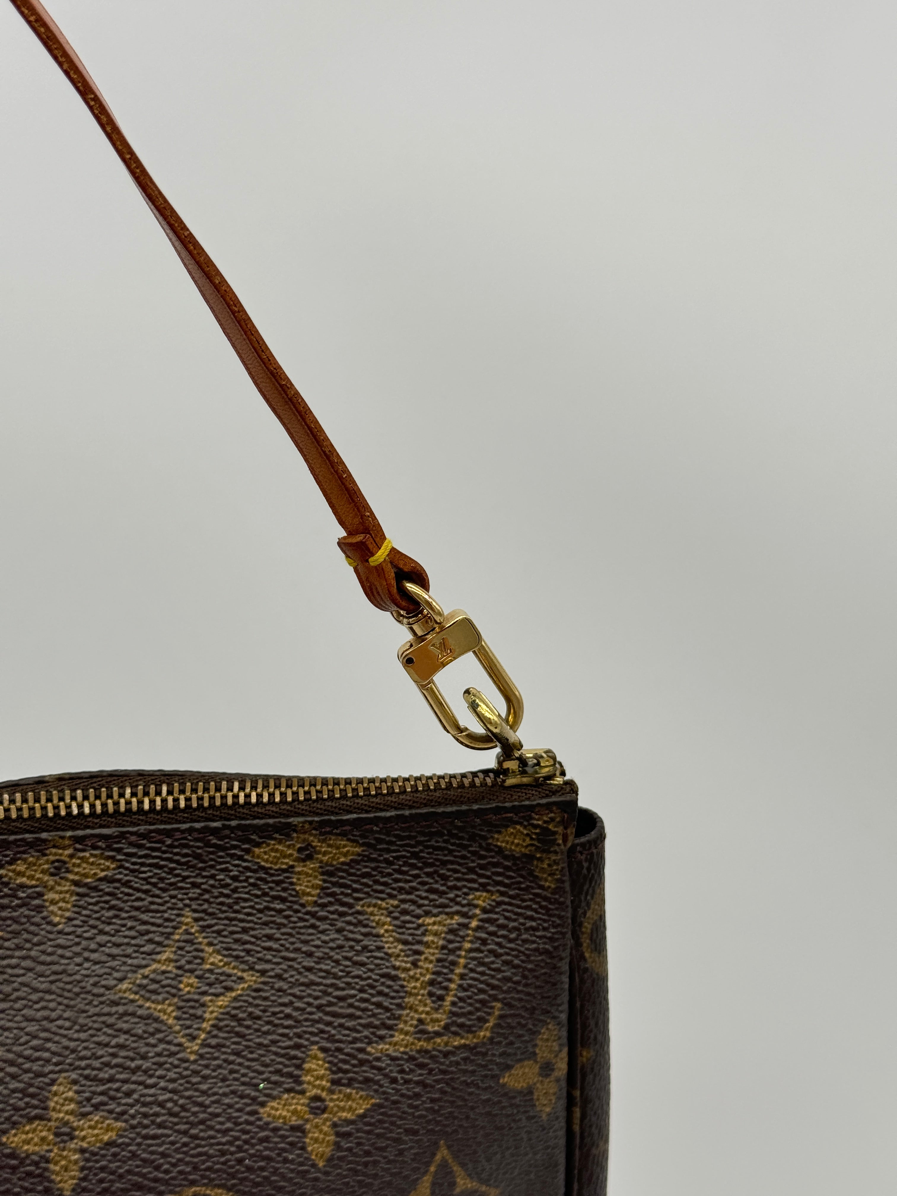 Louis Vuitton Pochette Accessoires