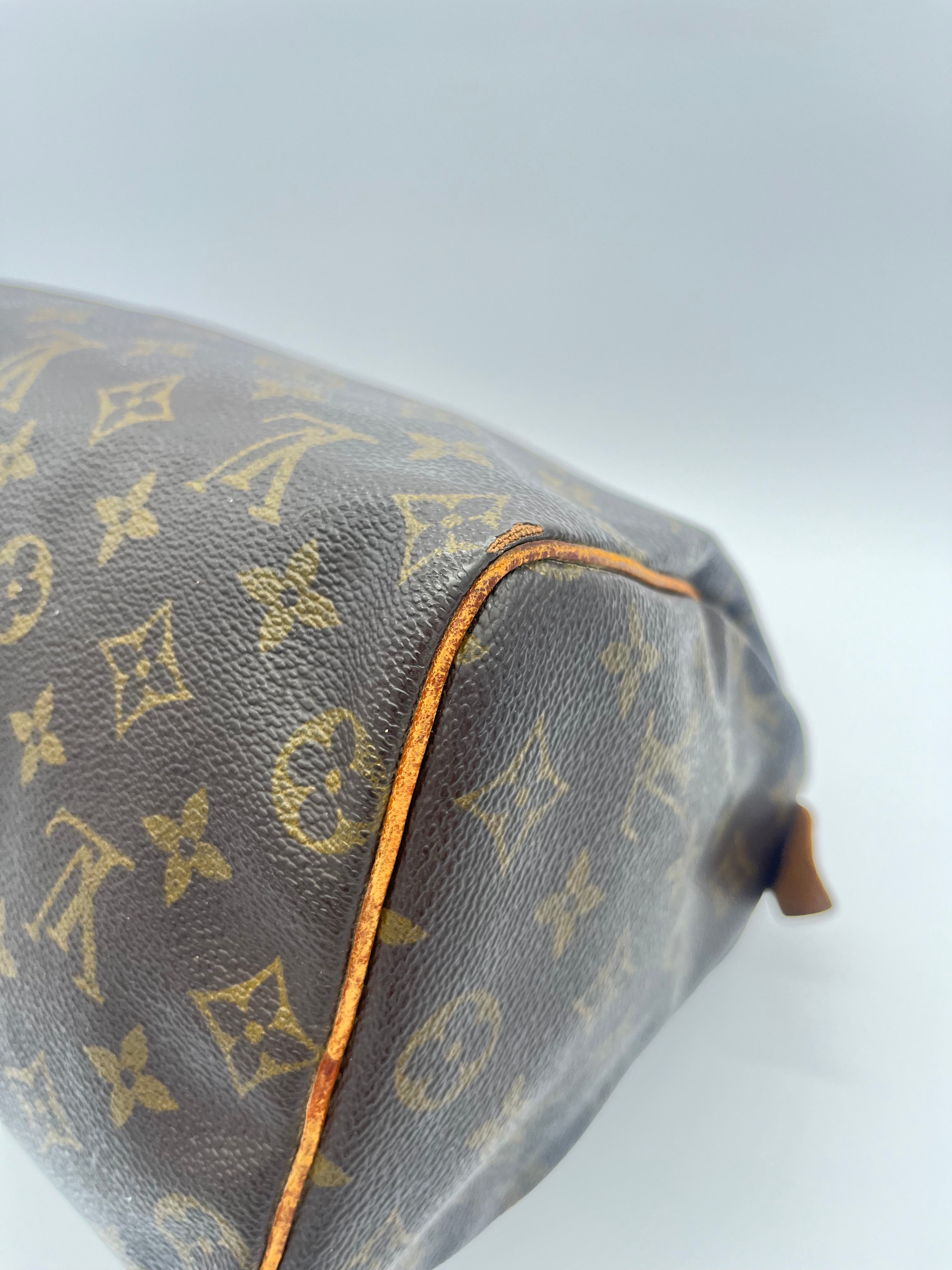 Louis Vuitton Speedy 25