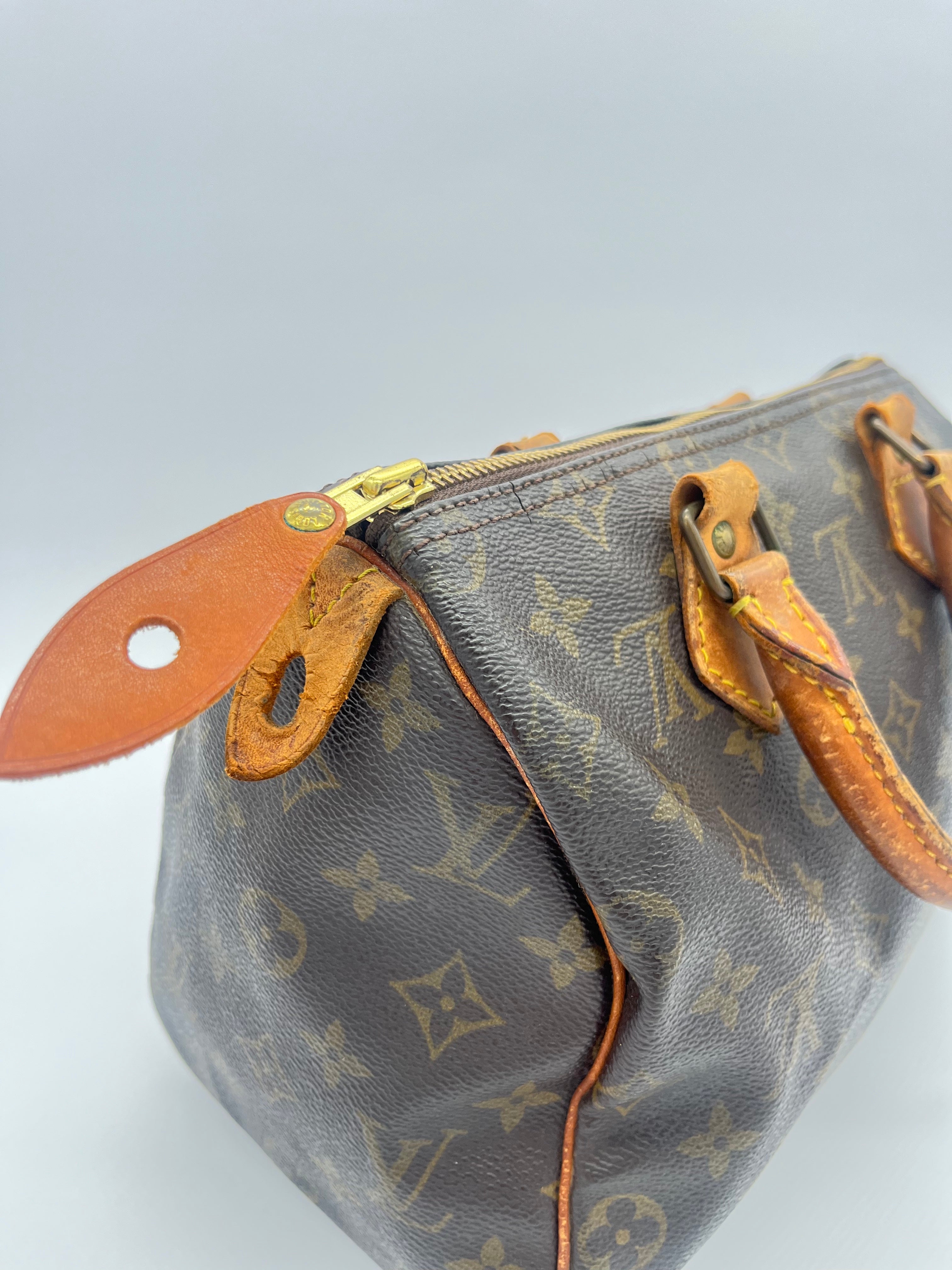 Louis Vuitton Speedy 25