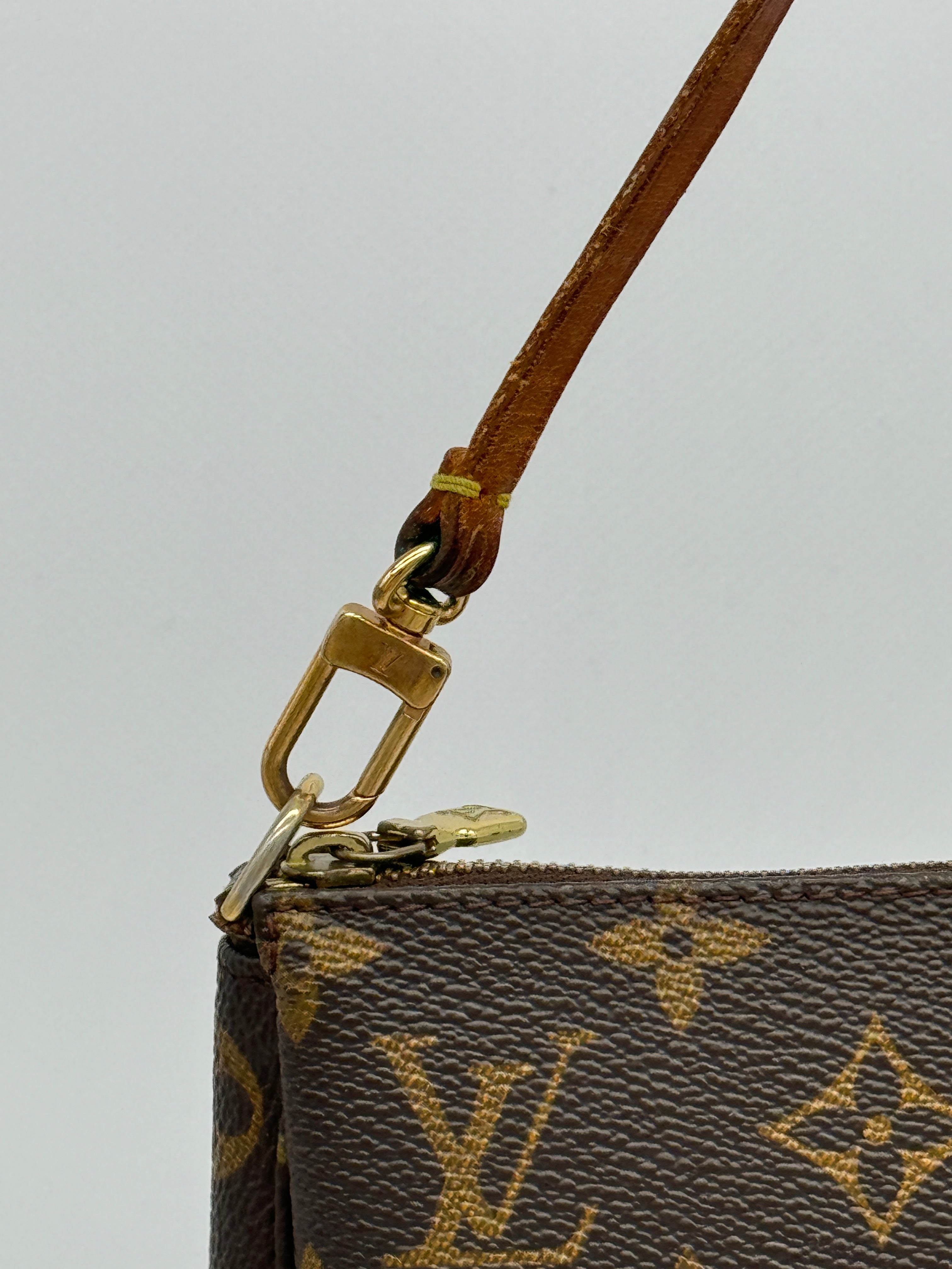 Louis Vuitton Pochette Accessoires