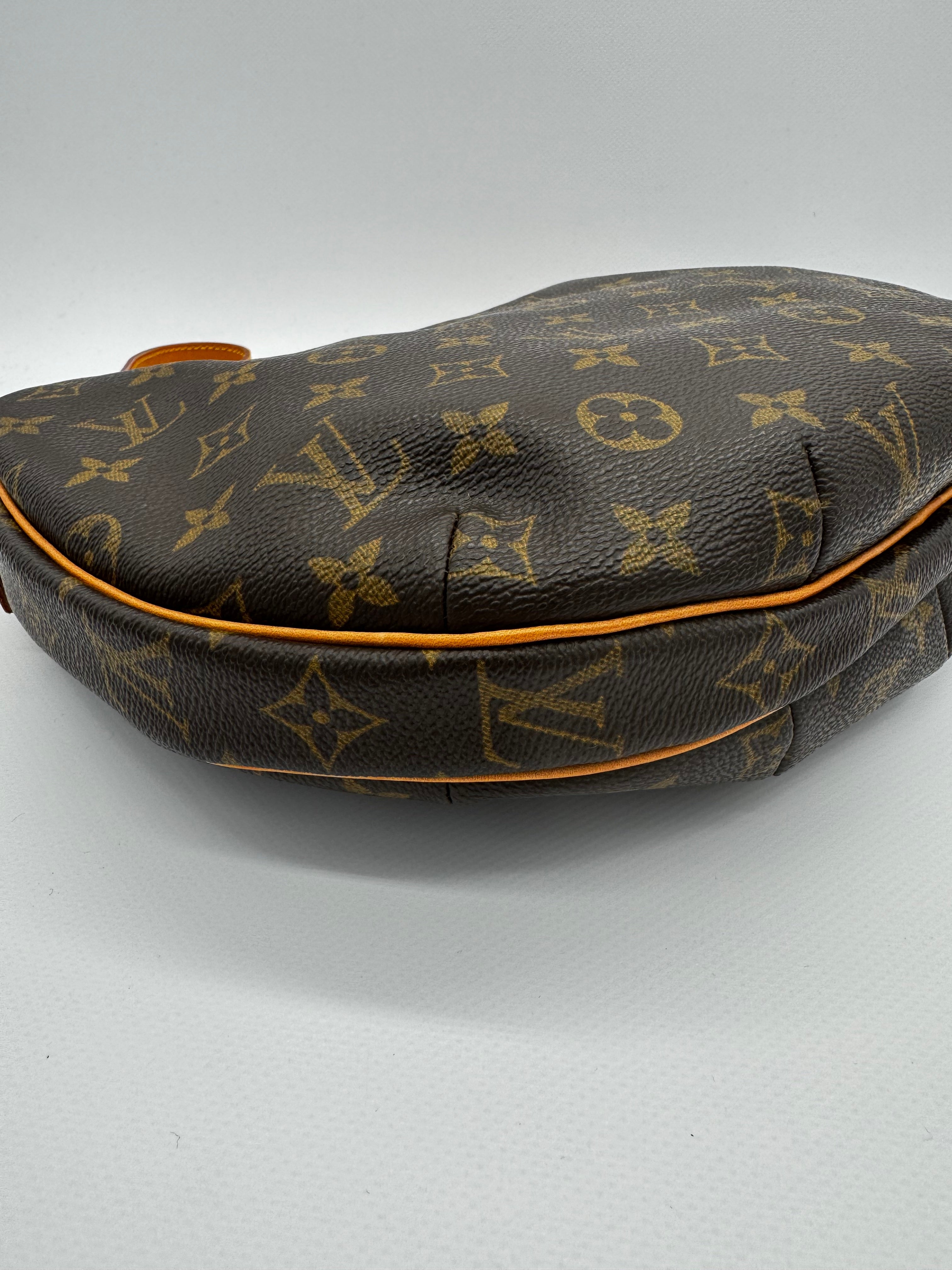 Louis Vuitton Croissant MM