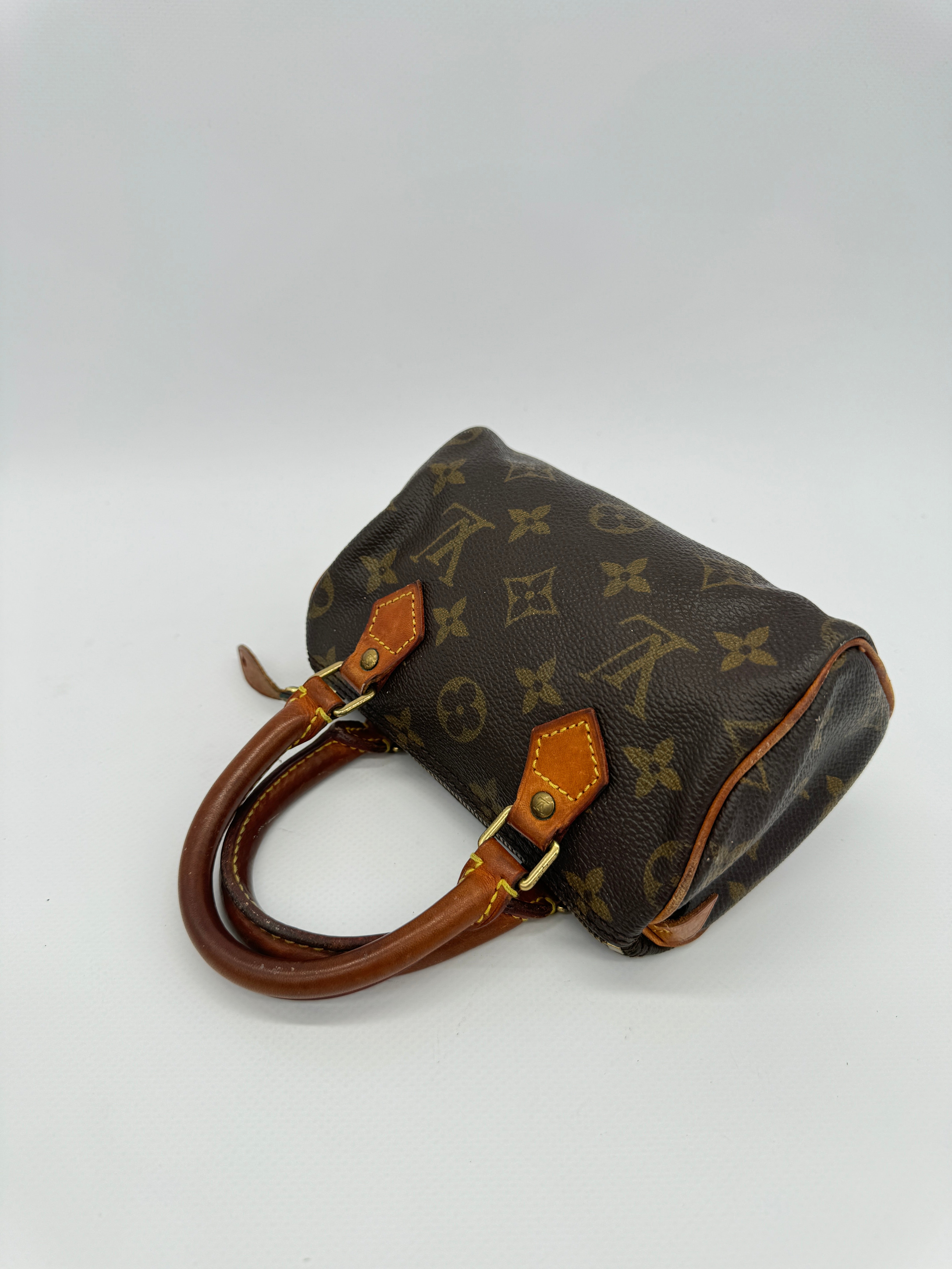 Louis Vuitton Nano Speedy