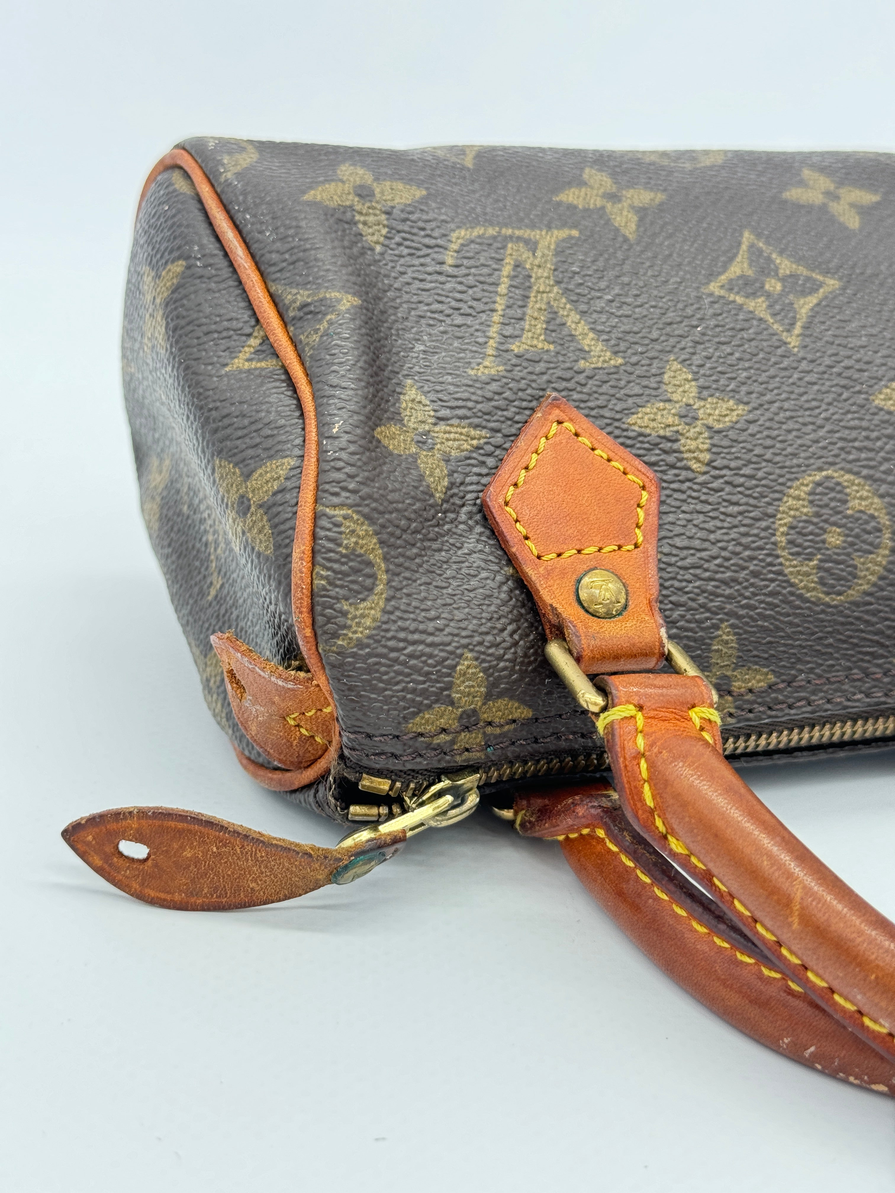 Louis Vuitton Nano Speedy