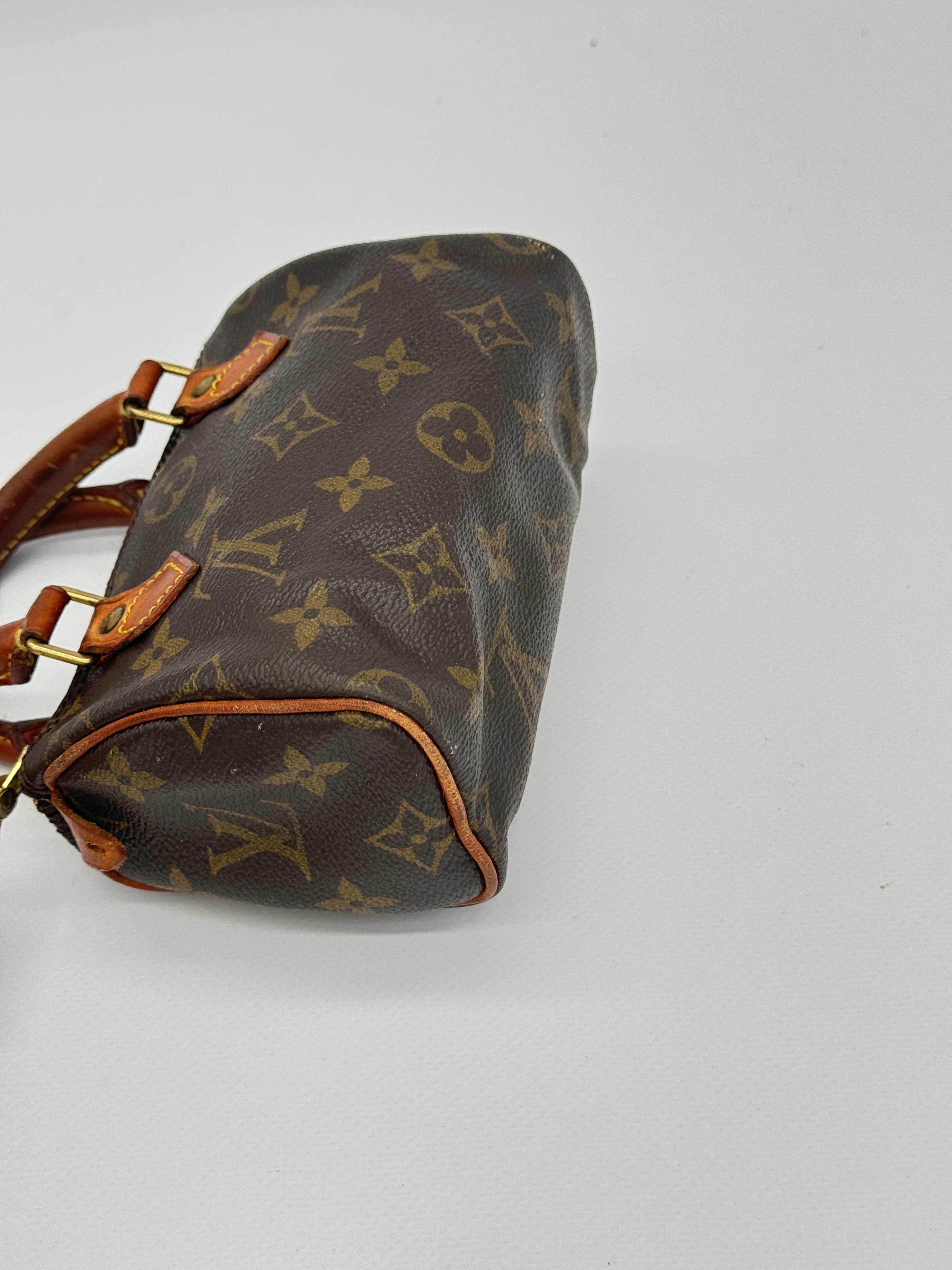 Louis Vuitton Nano Speedy