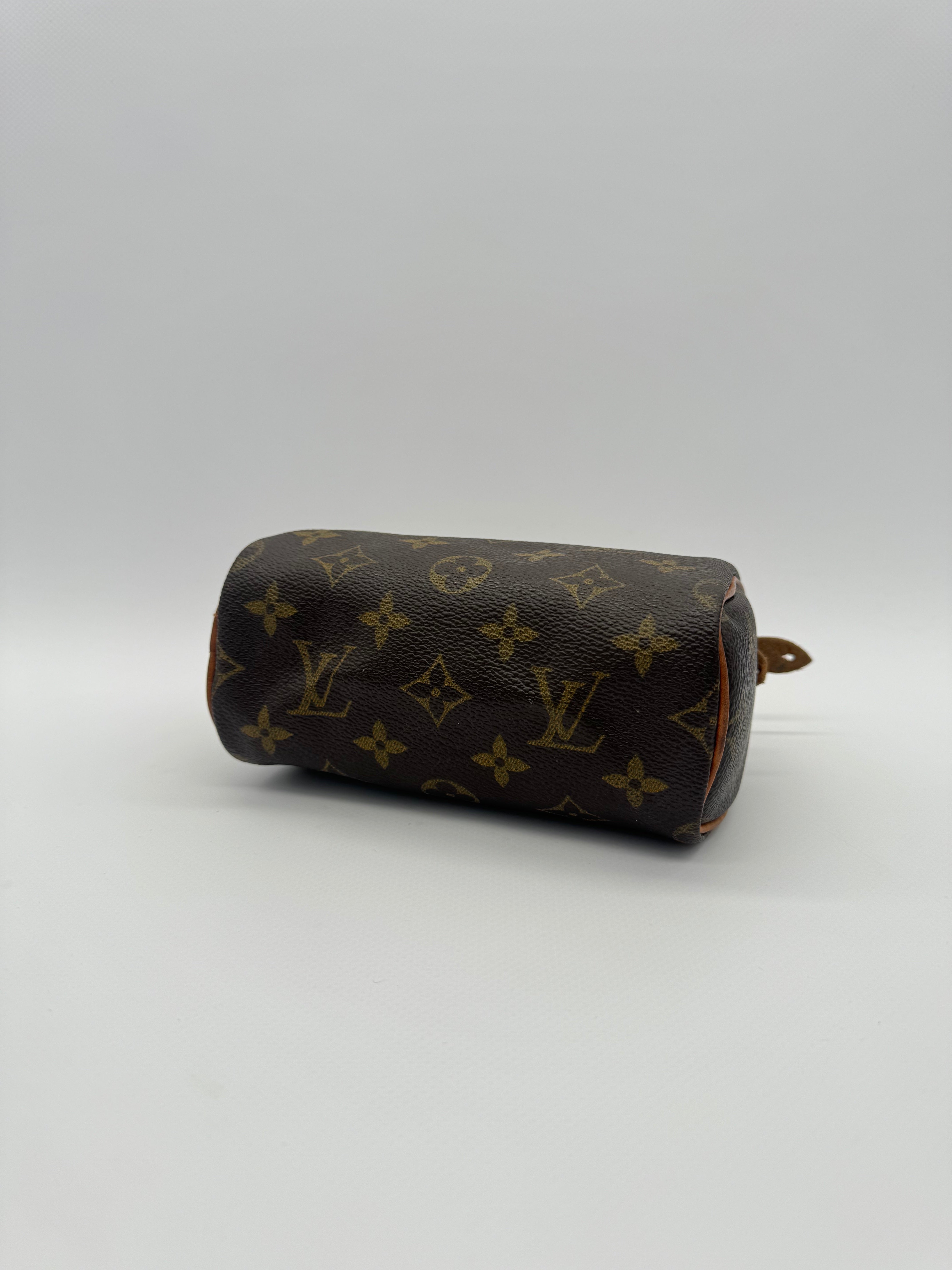 Louis Vuitton Nano Speedy