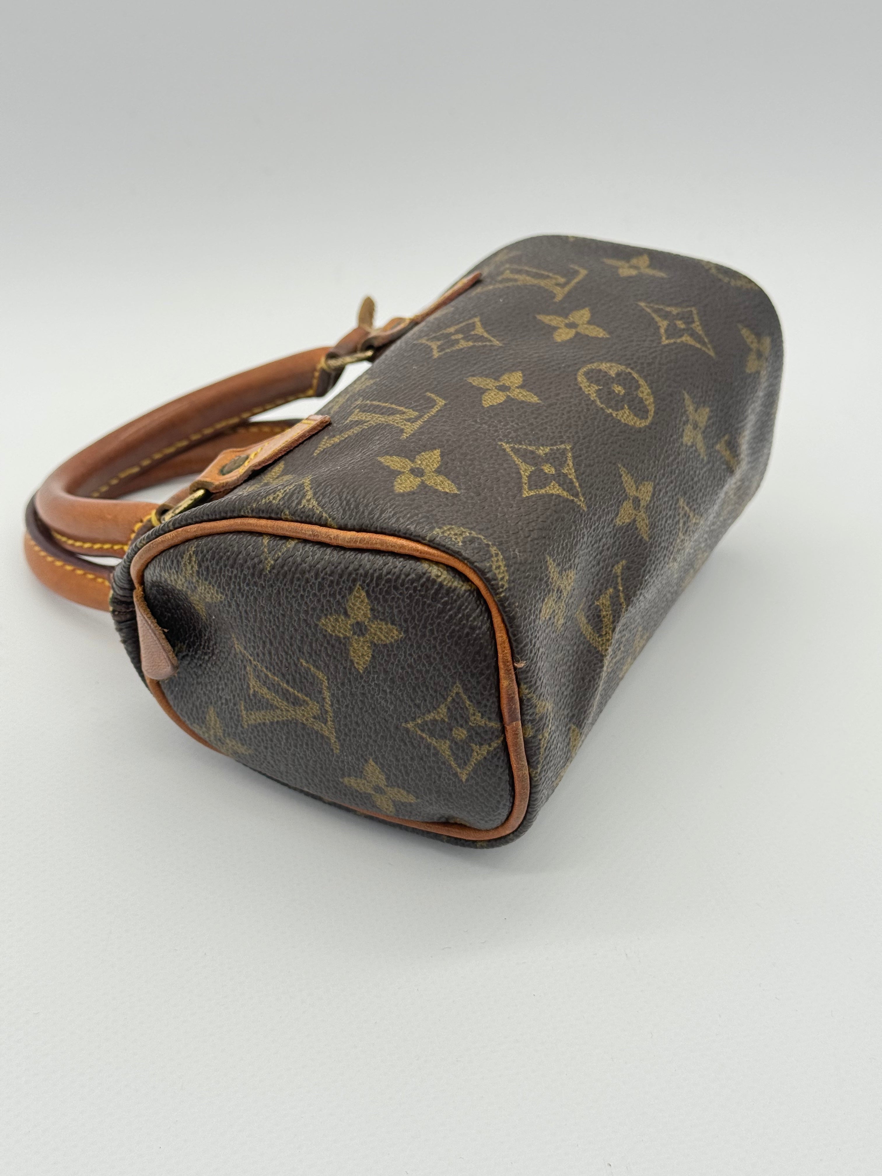 Louis Vuitton Nano Speedy