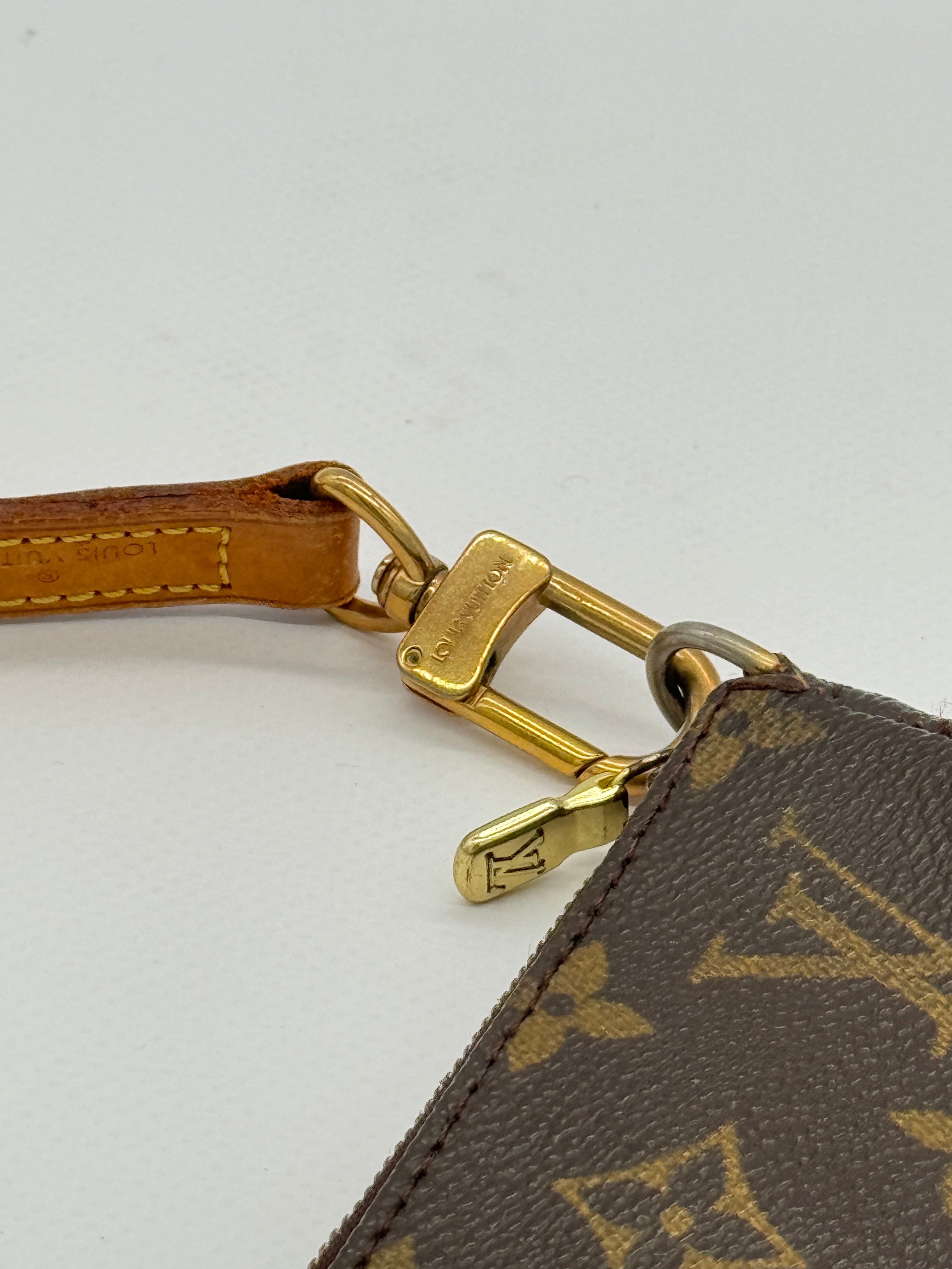 Louis Vuitton Pochette Accessoires